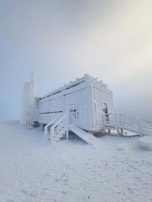 Simple Ways to Reduce Noise at Home for a Calmer Space